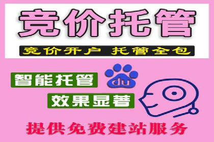 案例分析：网络推广竞价助力企业转型